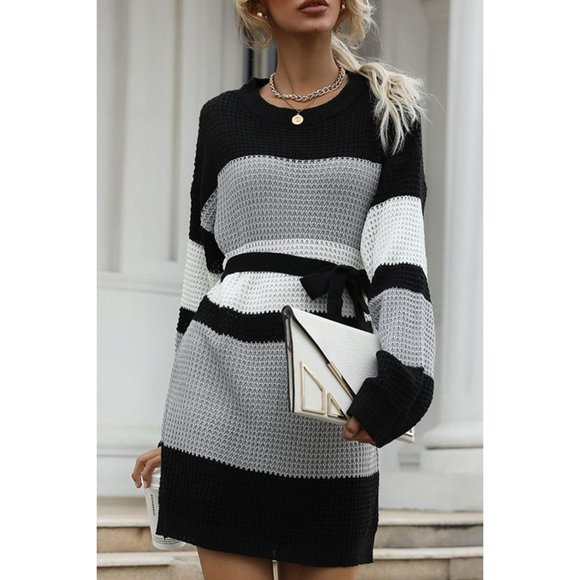 A Classy Chic Boutique Dresses & Skirts - Color Block Belted Round Neck Sweater Dress